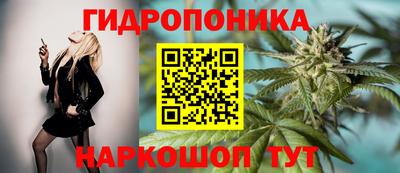 apvp Рузаевка