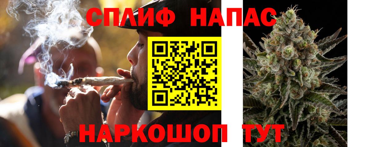Марихуана план  Вход с VPN  Новодвинск  Шишки марихуана сатива  Бошки марихуана OG Kush 